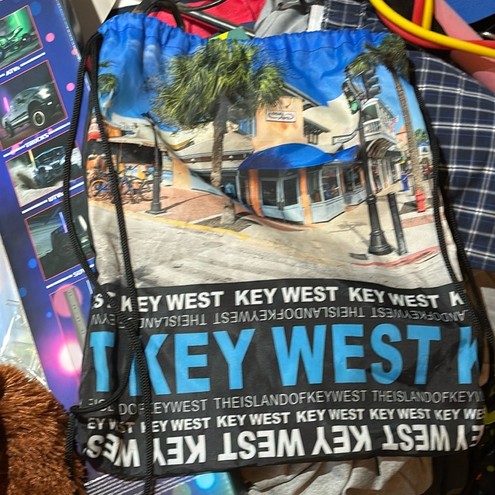 NWOT Robin Ruth Key West Cinch Backpack